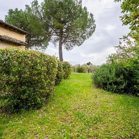 Casale Gazza Ladra Flight Over The Towers * San Gimignano